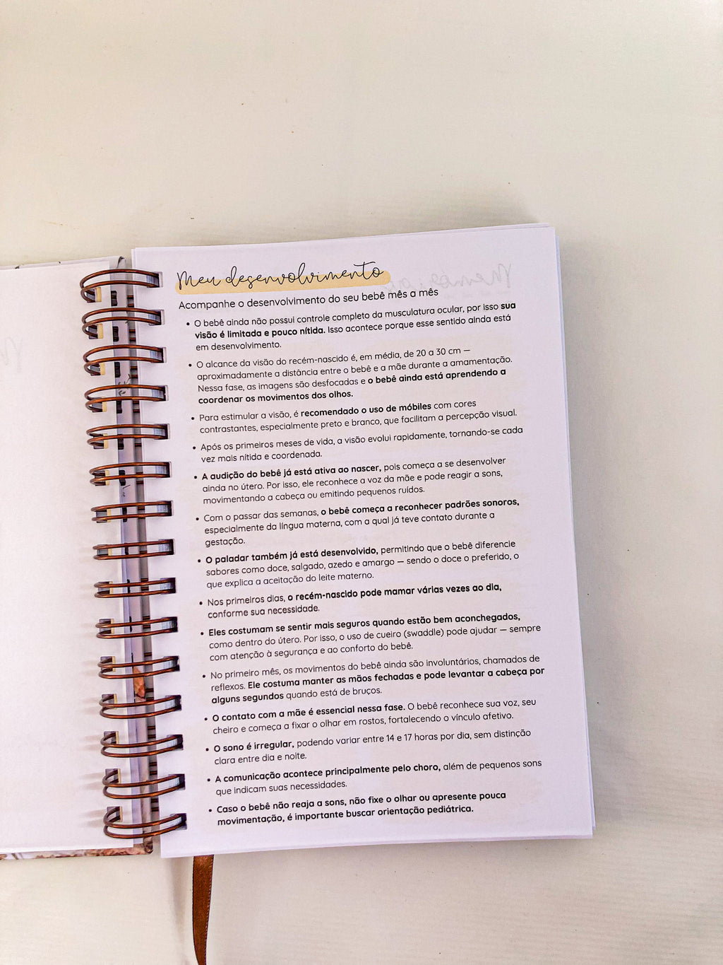 Planner do bebê com caderneta de vacinação da criança | Personalize a capa