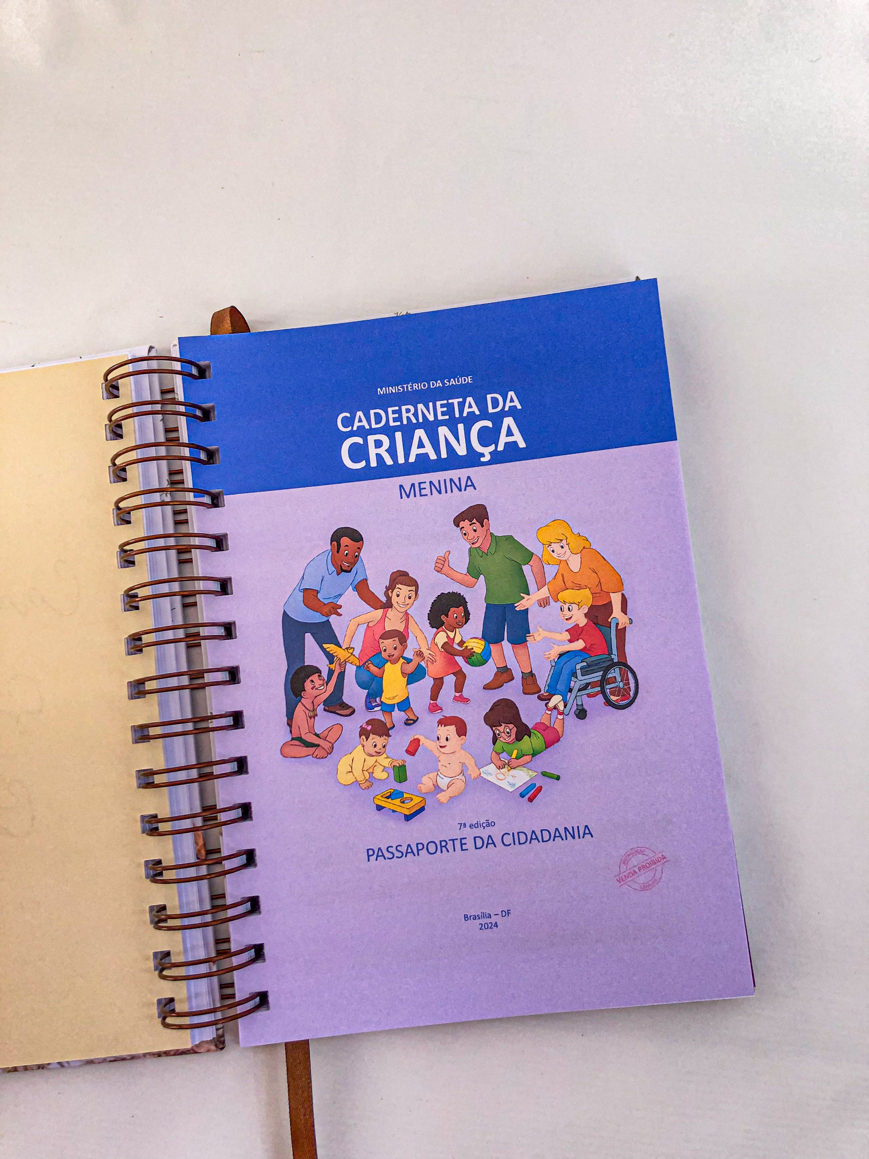 Planner do bebê com caderneta de vacinação da criança | Personalize a capa