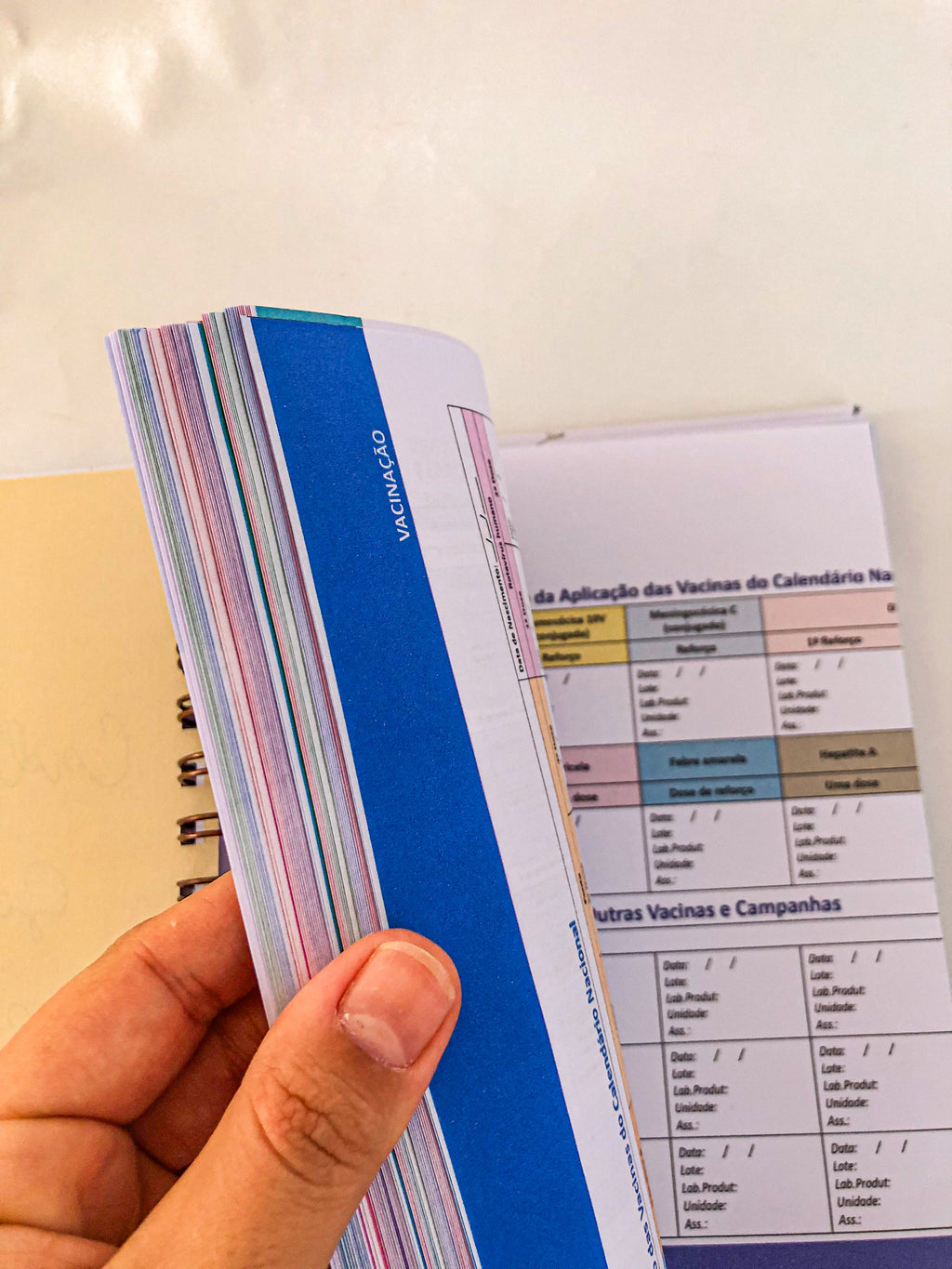 Planner do bebê com caderneta de vacinação da criança | Personalize a capa