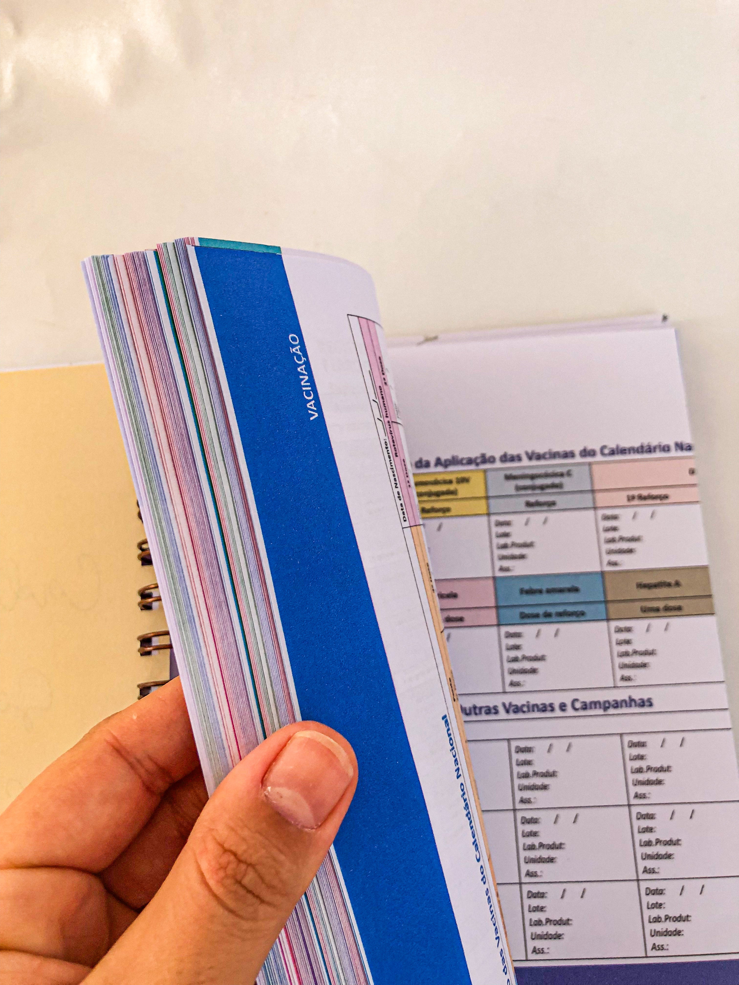Planner do bebê com caderneta de vacinação da criança | Personalize a capa